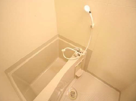 ＴＲＡＤＩＳ　ＮＩＰＰＯＲＩ．Ｓの浴室