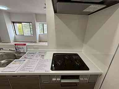 藤和平和公園ホームズのキッチン