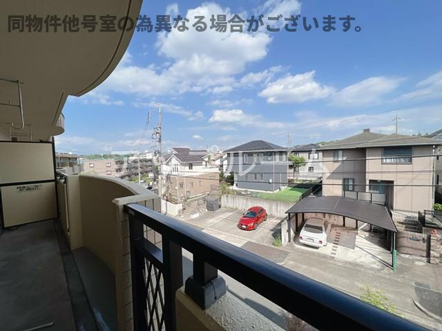 Bolson Bの展望