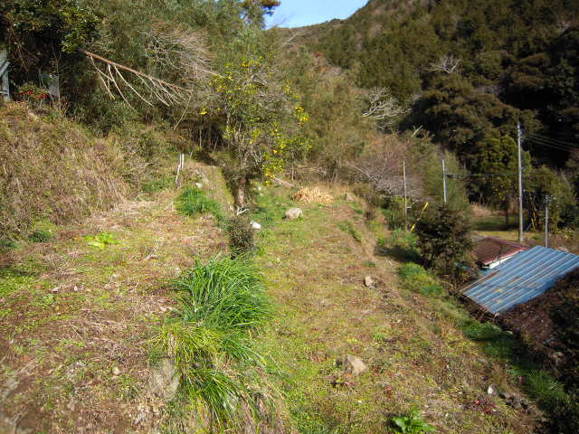 S0594R　蓮台寺貸家の庭