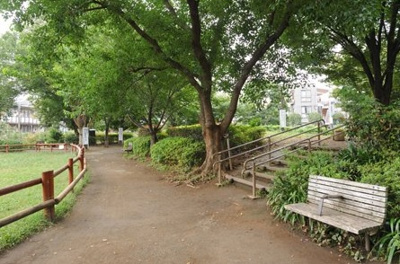 【周辺】 | 豊島区長崎5丁目 新築戸建　1号棟 　9480万円 | 長崎公園