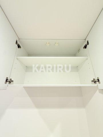 ルフォンプログレ南森町の浴室