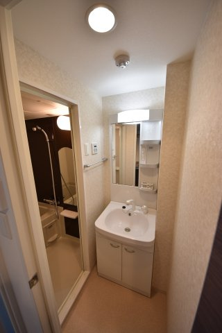 ラグゼ難波西Ⅰの洗面所