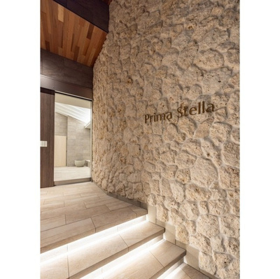 【その他】 | Prima Stella