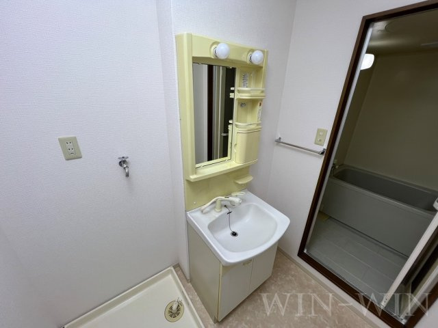 ハイステージFuji Bの洗面所