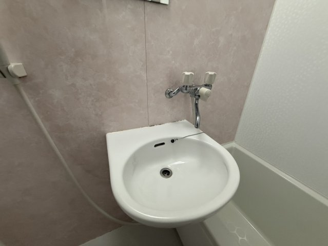 ハピネス桂の洗面所