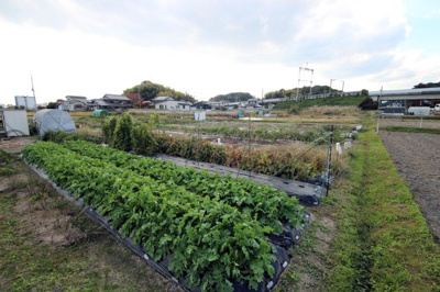【外観】 | 大津市小野188,191　売土地 | 2025年11月撮影、外観