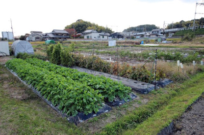 【外観】 | 大津市小野188,191　売土地 | 2025年11月撮影、外観