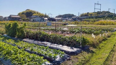【外観】 | 大津市小野188,191　売土地 | 2025年11月撮影、外観