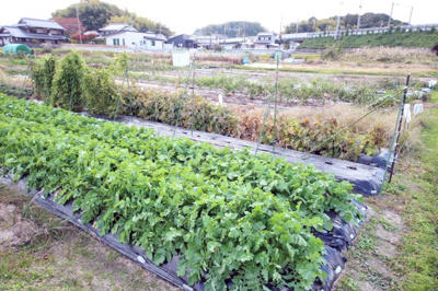 【外観】 | 大津市小野188,191　売土地 | 2025年11月撮影、外観