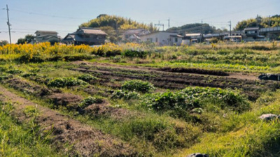 【外観】 | 大津市小野188,191　売土地 | 2025年11月撮影、外観