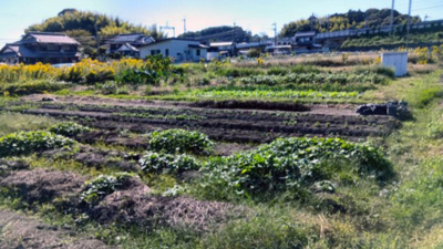 【外観】 | 大津市小野188,191　売土地 | 2025年11月撮影、外観