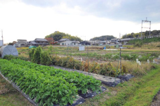 【外観】 | 大津市小野188,191　売土地 | 2025年11月撮影、外観