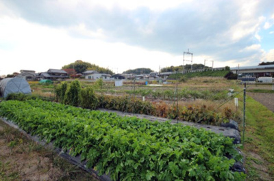 【外観】 | 大津市小野188,191　売土地 | 2025年11月撮影、外観