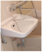 エスポワール入谷の洗面所