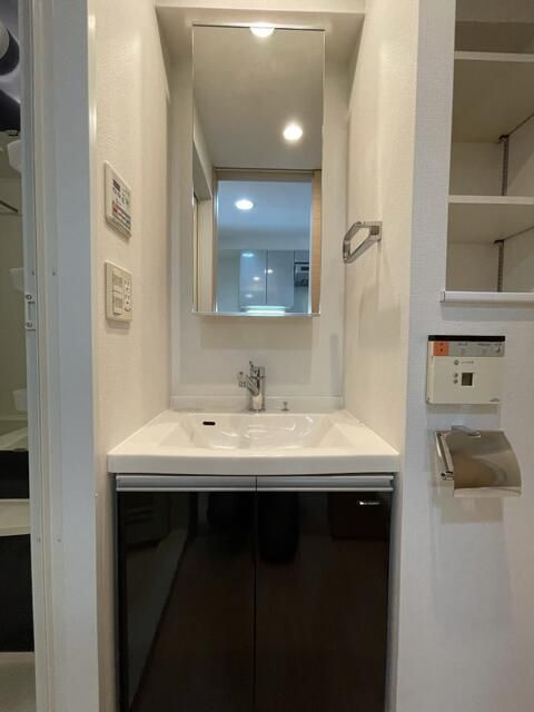 ＴＨＥパームス東武練馬の洗面所