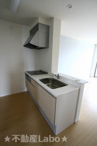 プロヌーブ川内のキッチン