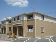 プルメリアの画像