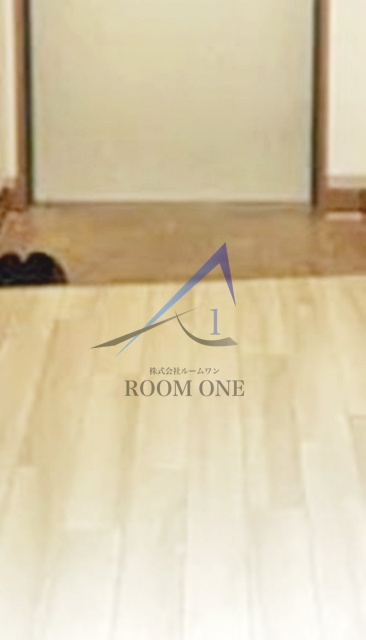 東中野ギンザ通りハイツの玄関|玄関です。