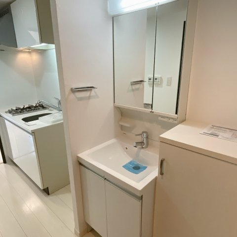 レオンコンフォート難波の独立洗面台