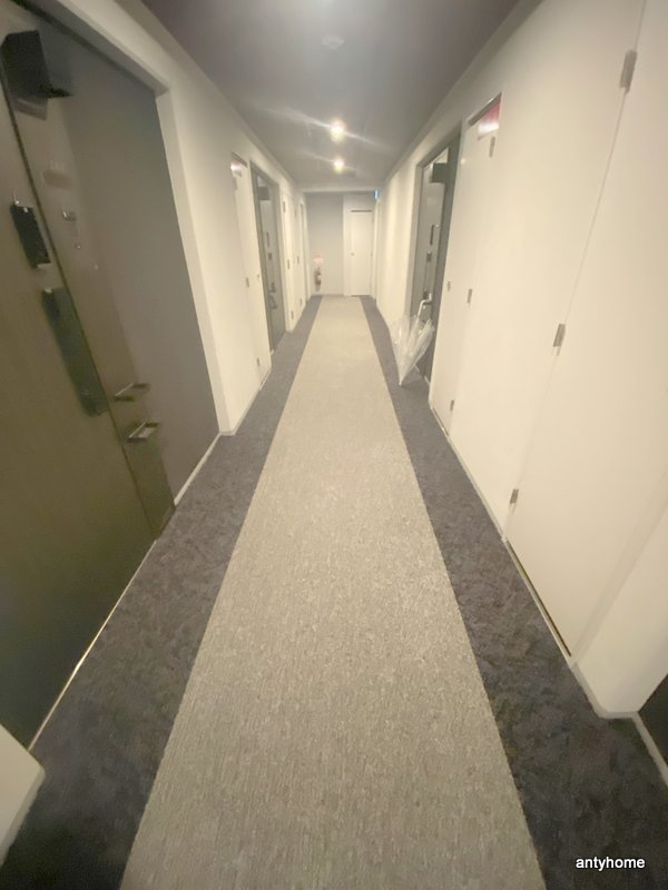 エステムプラザ南船場レジスタ　仲介手数料無料のその他共用部分