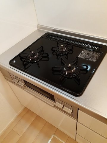 フィデール　リュウのその他