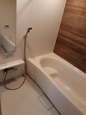 フィデール　リュウの浴室