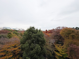 【展望】 | 眼前に広がる空の雄大さと、このお部屋の自慢の一つである「眺望」をご覧ください。毎日、この景色を独り占めできる新生活に夢が広がります。～即日のご見学可能～　お問合せはお気軽にどうぞ。