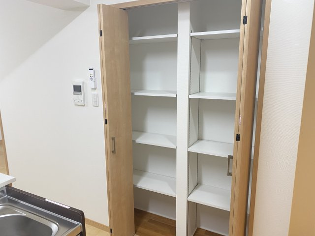 グランドソレイユカカズⅡの収納