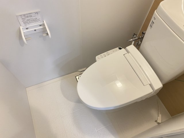 グランドソレイユカカズⅡのトイレ