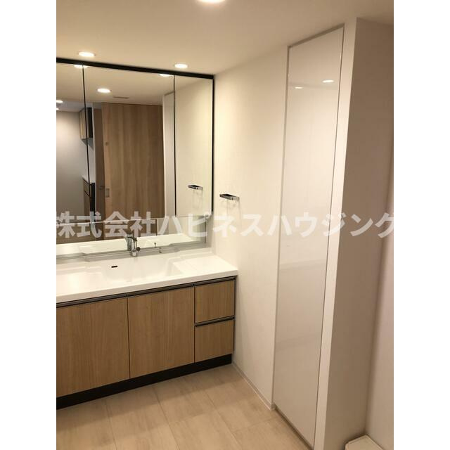 ルピアグランデ柏エアリーコートの独立洗面台