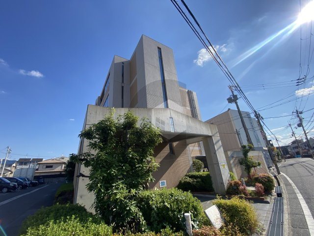 プロ二ティ・ユーの外観