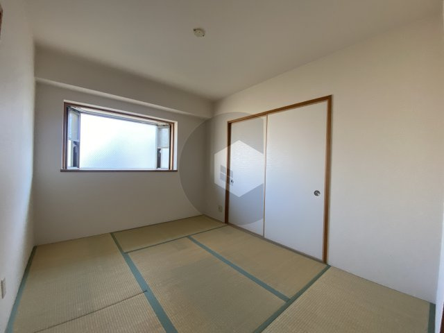 プロ二ティ・ユーの周辺