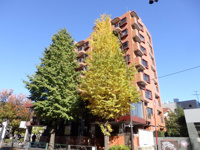 シャーレー原宿の画像