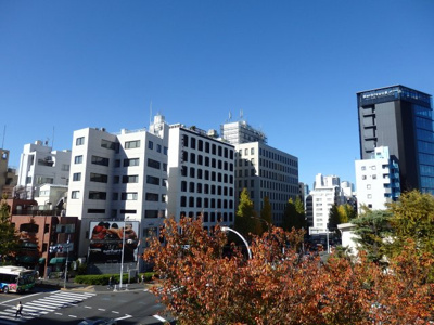 【展望】 | シャーレー原宿