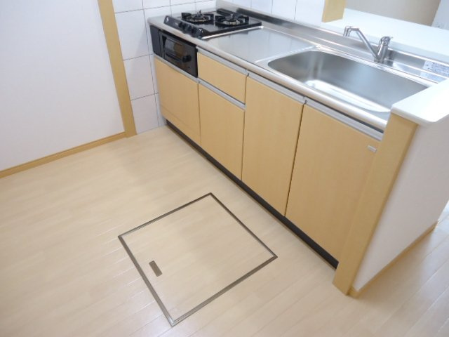 Sereno Sophia(セレーノ・ソフィア)の収納|キッチン1F床下収納