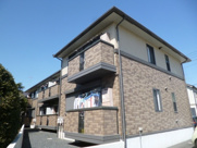 コンフォールダイワの画像