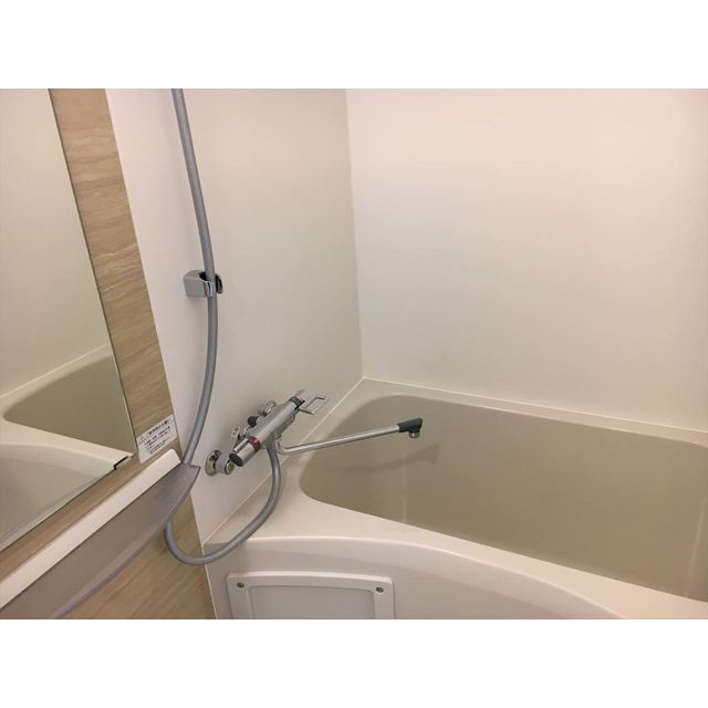 エスリード大阪シティグランツの浴室