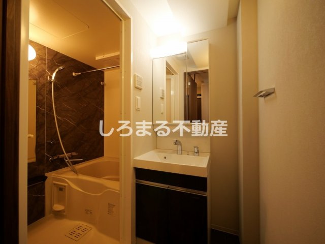 ライフフィールドなにわ本町RUELLEの洗面所