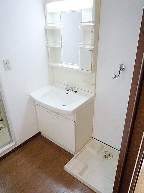 メゾンノザワの洗面所