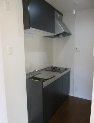 Viesen schloss（ヴィーゼン　シュロス）のキッチン