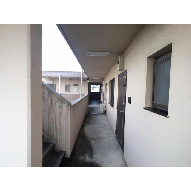 エンブレムのその他