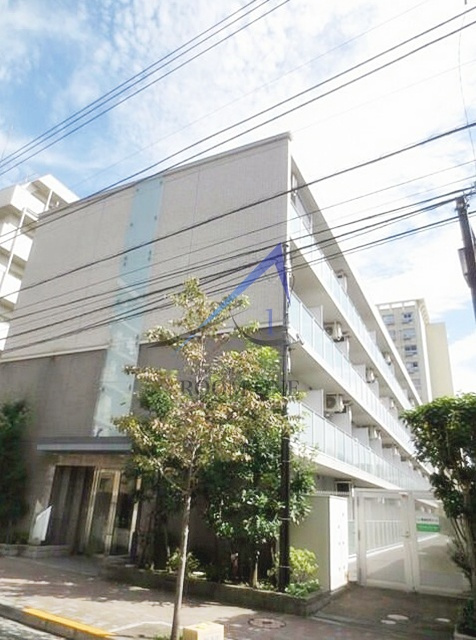 Ｍａｒｋ　Ｆｏｒｅｓｔ