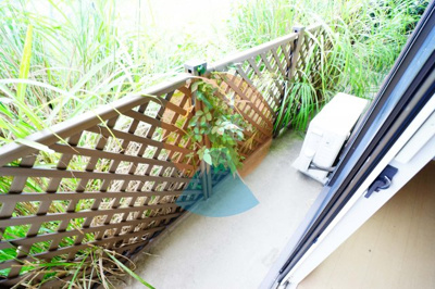 【庭】 | ソフィス かすみの瀬 | ネット無料。お庭です　※参考写真です