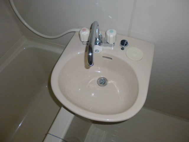 リエス武蔵野の洗面所