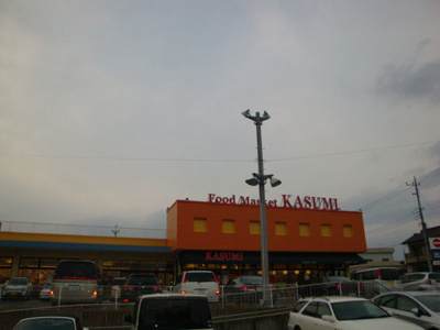 【周辺】 | オパール・サン・セリテ | カスミ東大沼店まで1,498ｍ