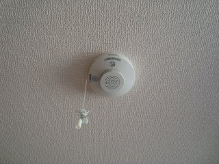 グリーンテラスのその他|火災報知機