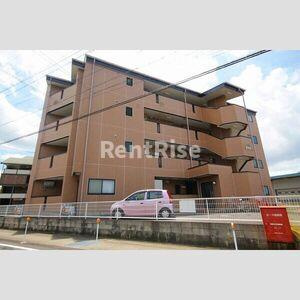 サニーコートカームS