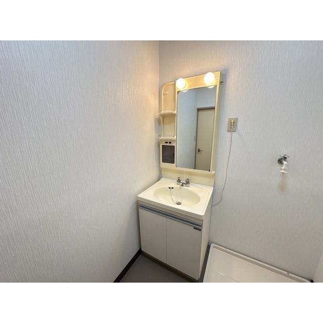 ベルメゾン緑の洗面所