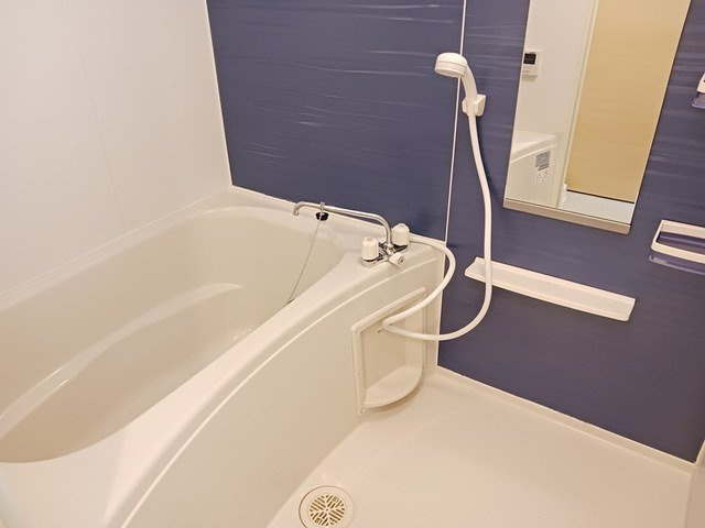 ラ　ルーチェ　ビレッタの浴室